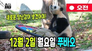 12월2일 새로운 장난감이 생겼어요