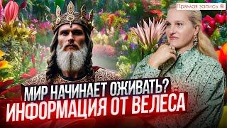 ЗЕМЛЯ ОЖИВАЕТ | Какие ТАЙНЫ о мироздании рассказал Бог Велес || Просмотр со слипером