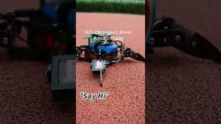 Spider Robot Bionic#Robotics #spaider #iot #bionic #OpenSource #esp8266 #esp8266project #electronic