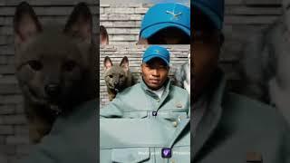новое видео