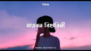 মায়াবন বিহারিনী-by Somlata / Bangla but aaesthetic with lo-fi lyrics