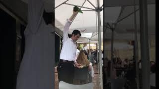 the pouring of cider on Calle Gascona Oviedo Spain