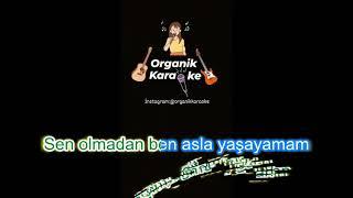 Antidepresan-Organik Karaoke