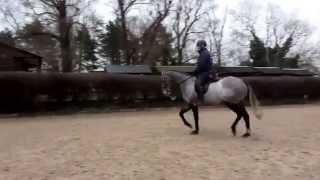 Cosmic Curious with Katie Jerram schooling