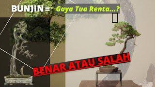 BONSAI GAYA BUNJIN | bongkar bonsai bunjin sesungguhnya  #bonsai #youtubepartner #jheyzbonsai