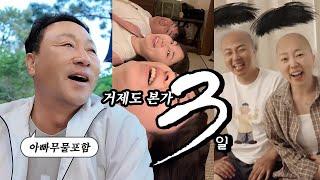 정신 없어서 기억이 잘 나지 않는 본가에서의 3일 (특별부록 : 창호씨의 VLOG, 방울이 근황)