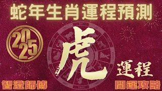 2025年 乙巳年 生肖運勢 蛇年十二生肖運程 —【肖虎】 | 概括運程+四季不同時段出生 屬虎運程 | 開運攻略 | 生肖運程 分析 | 愛情、事業、正財、橫財、健康預測 | 生肖運程 2025增運