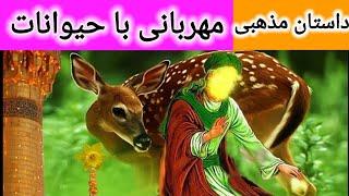 داستان امام سجاد مهربانی با حیوانات | داستان مذهبی | داستان های فارسی | داستان مذهبی کودکانه