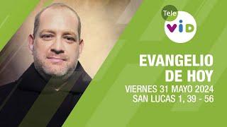 El evangelio de hoy Viernes 31 Mayo de 2024  #LectioDivina #TeleVID