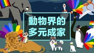 動物界的多元成家｜科學大爆炸 EP.1