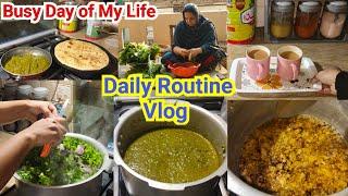 Saare Kaam aaj hi | How to make Sarson ka Saag Recipe| Busy Day Daily Routine Vlog| Sonia Vlogs