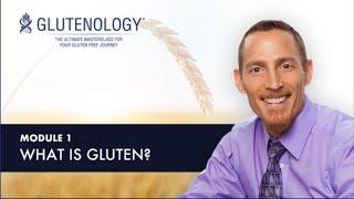 What is Gluten?  Gluten Simply Explained - Glutenology Masterclass