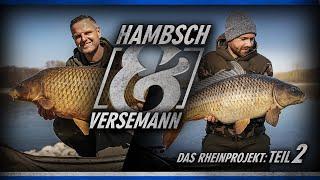Hambsch & Versemann - Das Rheinprojekt Teil 2 (Karpfenangeln)