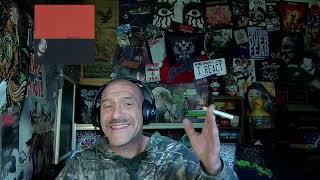 Aesop Rock - 6B Panorama - Reaction & Rant with Rollen (First Listen)