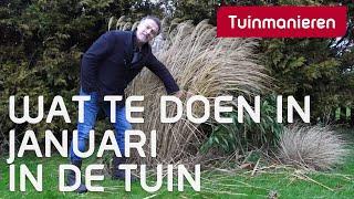 Januari in de tuin, wat te doen? | Winter | Tuinmanieren