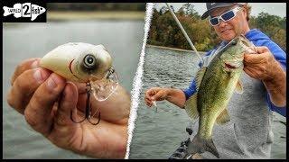 How to Fish Wake Baits for Bass Around Grass