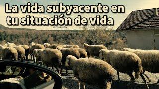 LA VIDA SUBYACENTE EN TU SITUACIÓN DE VIDA - Eckhart Tolle