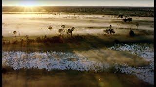 10 Hours Of Relaxing Planet Earth II Grassland Sounds | BBC Earth Explore