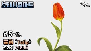 Tulip Flower Drawing | 튤립 잘 그리는 방법 | 꽃그림 배우기 5-2