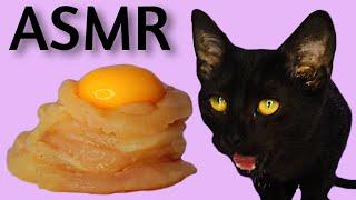 Cat Eating Raw Chicken and Egg Yolk ASMR