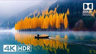 AMAZING PLANET EARTH4K 120 FPS Dolby Vision HDR #nature #bgm