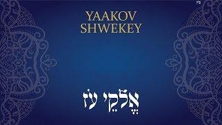 אלוקי עוז - שוואקי | SHWEKEY - Elokei Oz