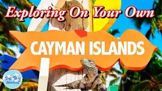 How To Explore Grand Cayman Like A Local And See The Turtles Up Close!