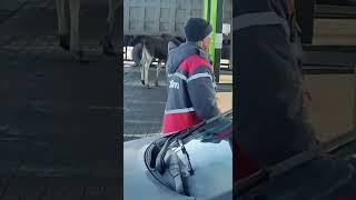 Прислали подписчики #shorts #shortvideo #short #shortsfeed #shortsvideo #shortsviral #тепловизор