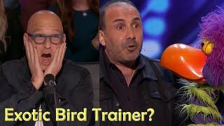 Exotic BIRD TRAINER? NOBODY EXPECTED This - SEE WHAT HAPPENS