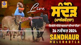 [Live] Sandhaur | Malerkotla | ਇਕੱਲੇ ਖੀਰੇ ਬਲਦਾਂ ਦੀਆਂ ਦੌੜਾਂ | Ox Races | 26 Nov 2024