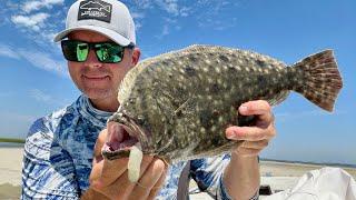 These guys were EVERYWHERE… Flounder Fishing with Tandem Rigs