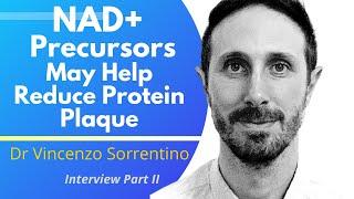 How NAD Precursors May Help Reduce Protein Plaque | Dr Vincenzo Sorrentino Ep 2