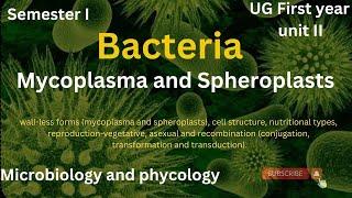 Mycoplasma and Spheroplasts (Bacteria),@2kuscibotany