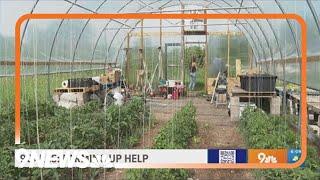 Colorado food bank aims to grow more than 10,000 pounds of organic produce