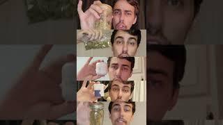 When Everyone Brings Bud to the Sesh!
