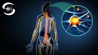 Heal and relax Nervous System with amazing Frequencies