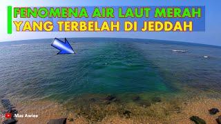 FENOMENA LAUT MERAH TERBELAH DI JEDDAH ARAB SAUDI