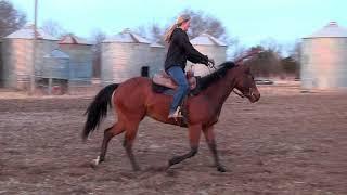 BF Eyes on Foose  Riding Demonstration