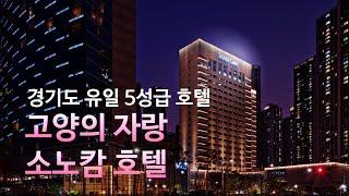 경기도 고양 5성급 호텔 /소노캄 고양/웨스트타워/조식 후기