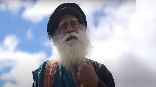 Sadhguru At Kailash 2022 | Spectacular & Profound Moments | Sadhguru | Shemaroo Spiritual Life