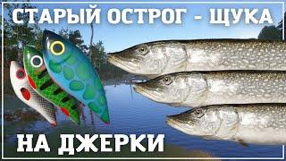 Крупная щука на Старом Остроге - актуальная точка - РР4┃maXS1k