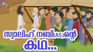 സ്വാലിഹ് നബി (AS) ജീവചരിത്രം Quran Stories Malayalam | Prophet Stories Malayalam | Use of education