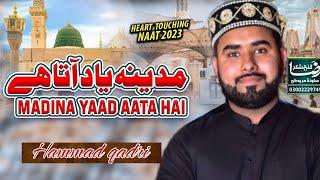 naat madina yad ata ha hammad afzal qadri