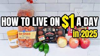 *ALL NEW* Eating For $1 A Day in 2025 (Full Week) | EXTREME GROCERY BUDGET PLAN | CHEAP MEAL IDEAS