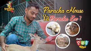 Paracha House YA Paracha Zoo | Episode # 2 | Jimmy’s Pet Diary | Banana Prime