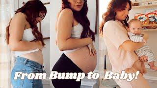 From Bump To Baby: 8-40 Weeks Pregnant Belly Progression