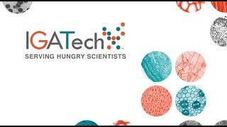 IGATech - Company presentation