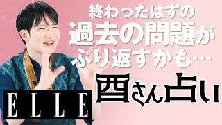 【8月恋愛運】愛され運、人を惹きつける色気を手に入れるかも。暮れの酉が占う恋の行方｜心のリトリート“酉さん占い“｜ ELLE Japan