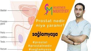 Prostat (xəstəlikləri,iltihabı, böyüməsi) nədir,niyə yaranır? | Sağlam Yaşa