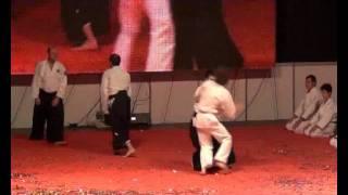 aikido derjava2011